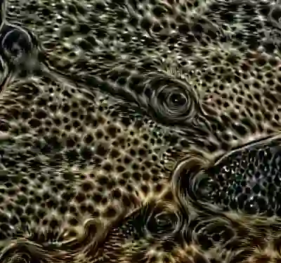 inscription 0b30a62cf2596a4d541d5d0f3d9fdfb2be16f2dcc31c9dfd13afb7bbf31bc1cdi0