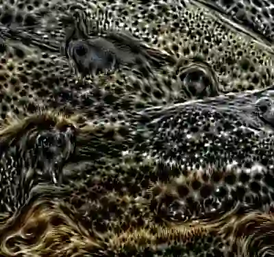 inscription 0b30a62cf2596a4d541d5d0f3d9fdfb2be16f2dcc31c9dfd13afb7bbf31bc1cdi1