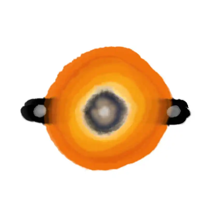 inscription 1e1cd76ccb9c911c5fd58a2e01b9045d7eecbf4e6cefcb1f8cef1d7d3e2ca1d4i0